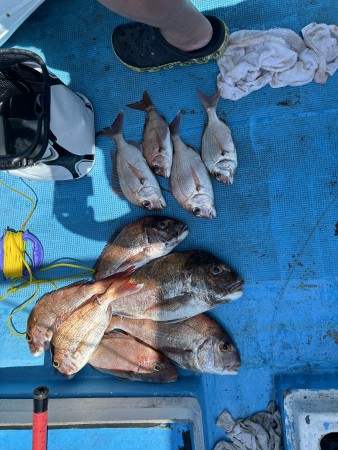 釣果写真