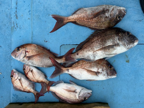 釣果写真