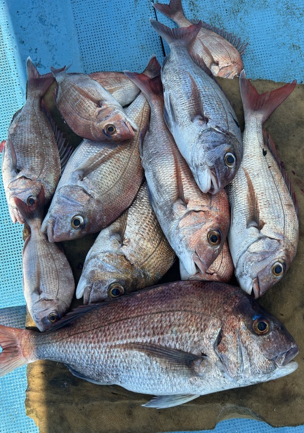 釣果写真