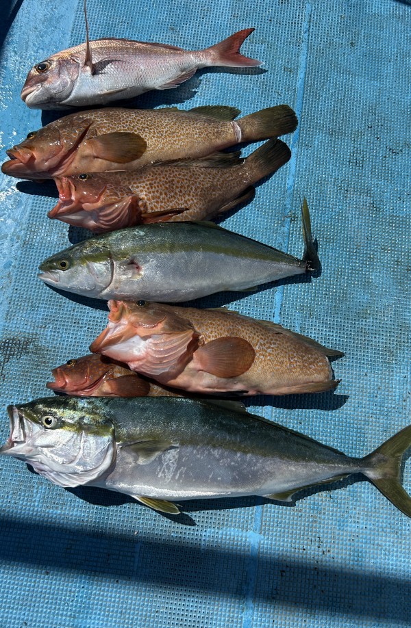 釣果写真