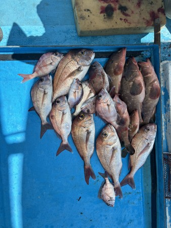 釣果写真