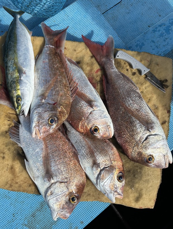 釣果写真