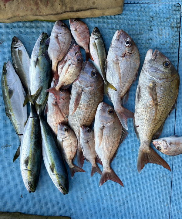 釣果写真