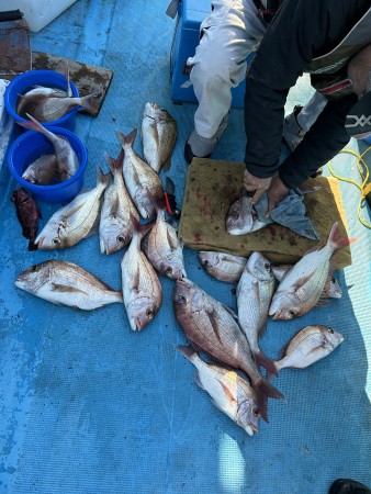 釣果写真