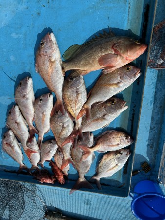 釣果写真