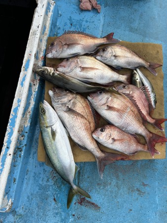 釣果写真