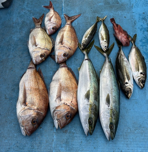 釣果写真