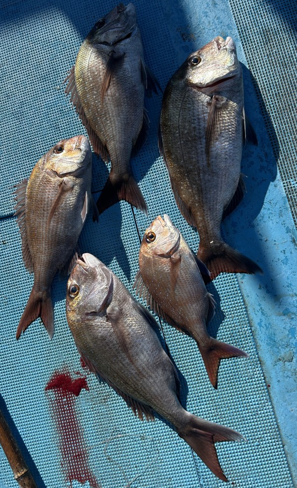 釣果写真