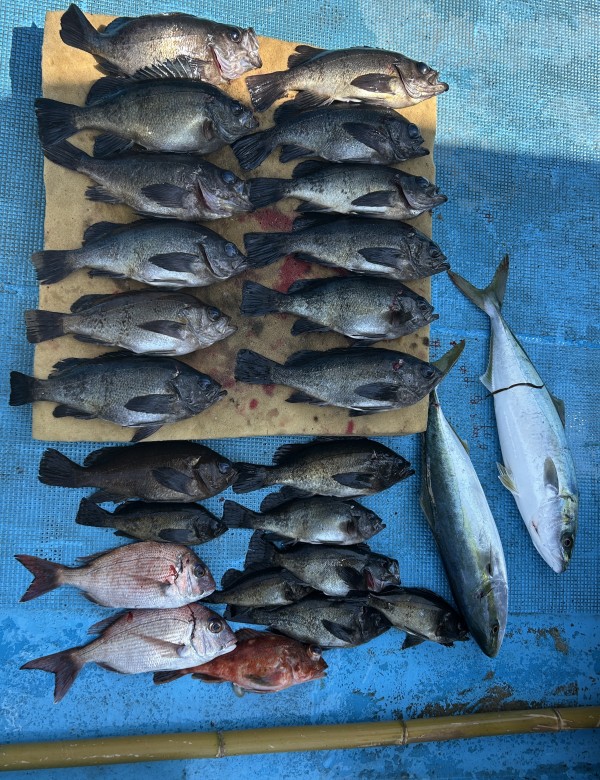 釣果写真