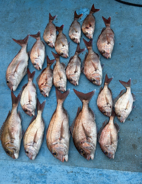 釣果写真