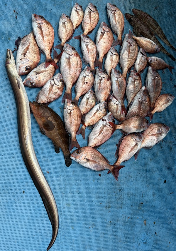 釣果写真