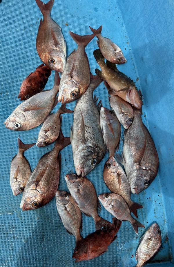 釣果写真