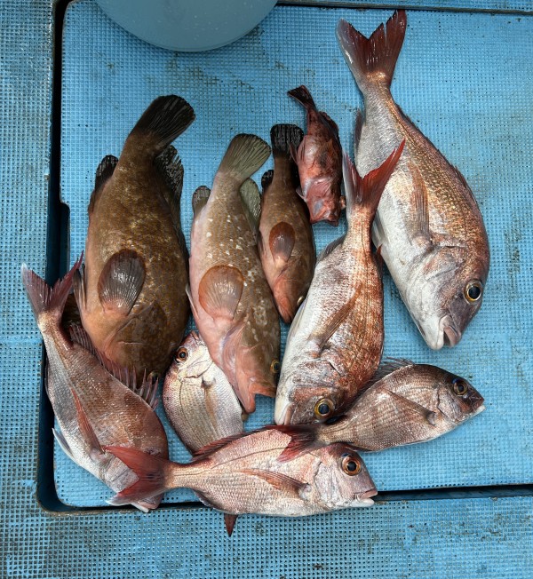 釣果写真