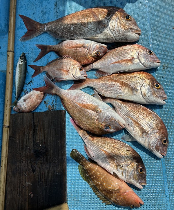 釣果写真