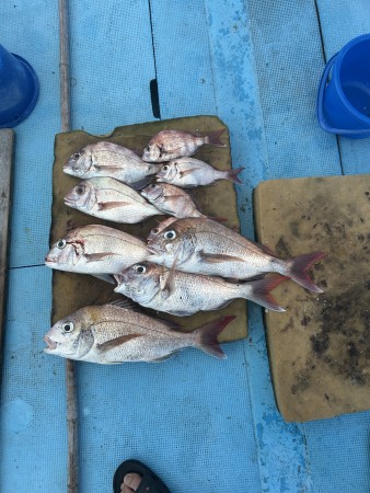 釣果写真