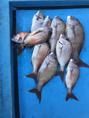 釣果写真