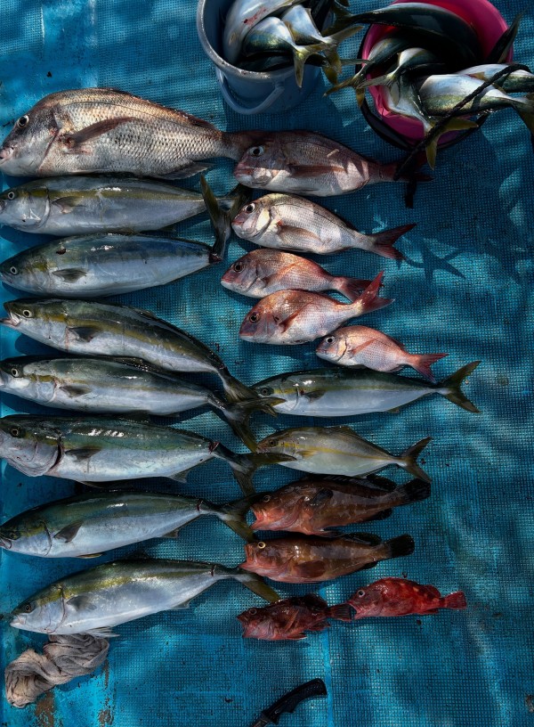 釣果写真