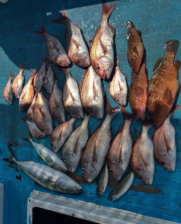 釣果写真