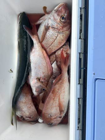 釣果写真